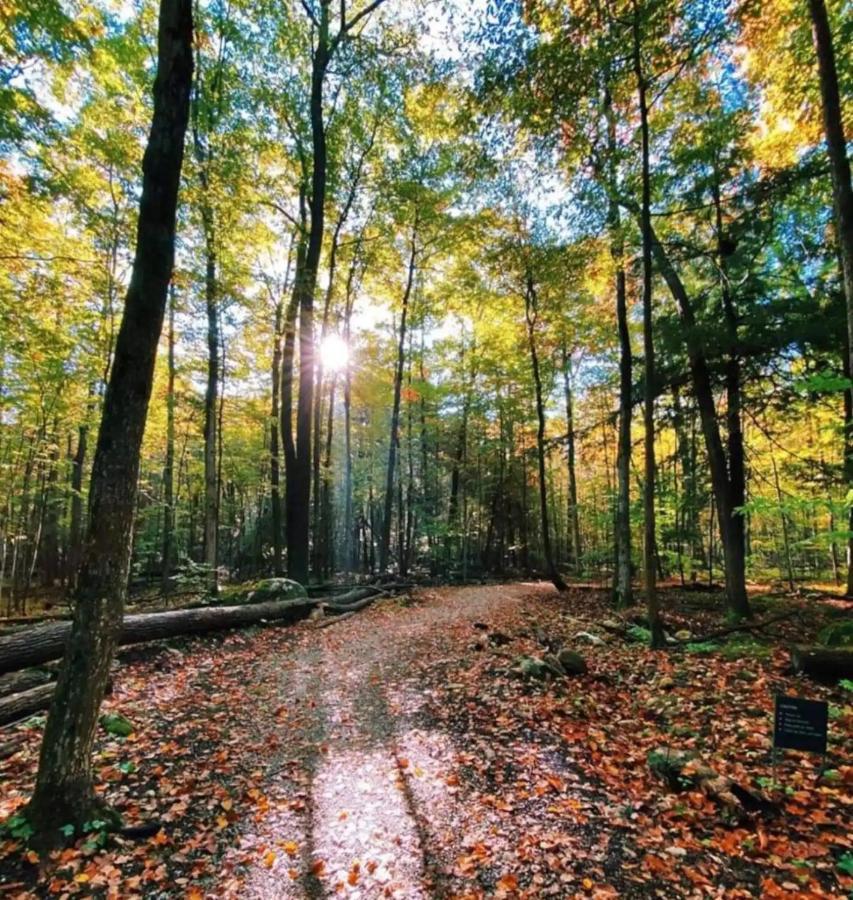 Pet Friendly Condos At Friday Harbour Innisfil Екстер'єр фото